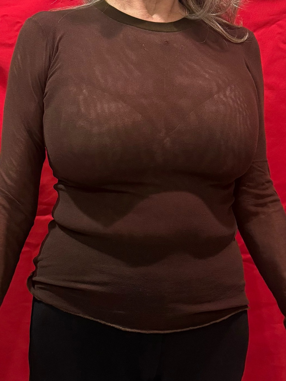 On Gossamer Brown Long Sleeve Sheer Top
